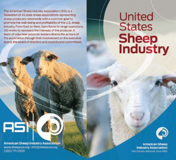 American Sheep Industry Fast Facts