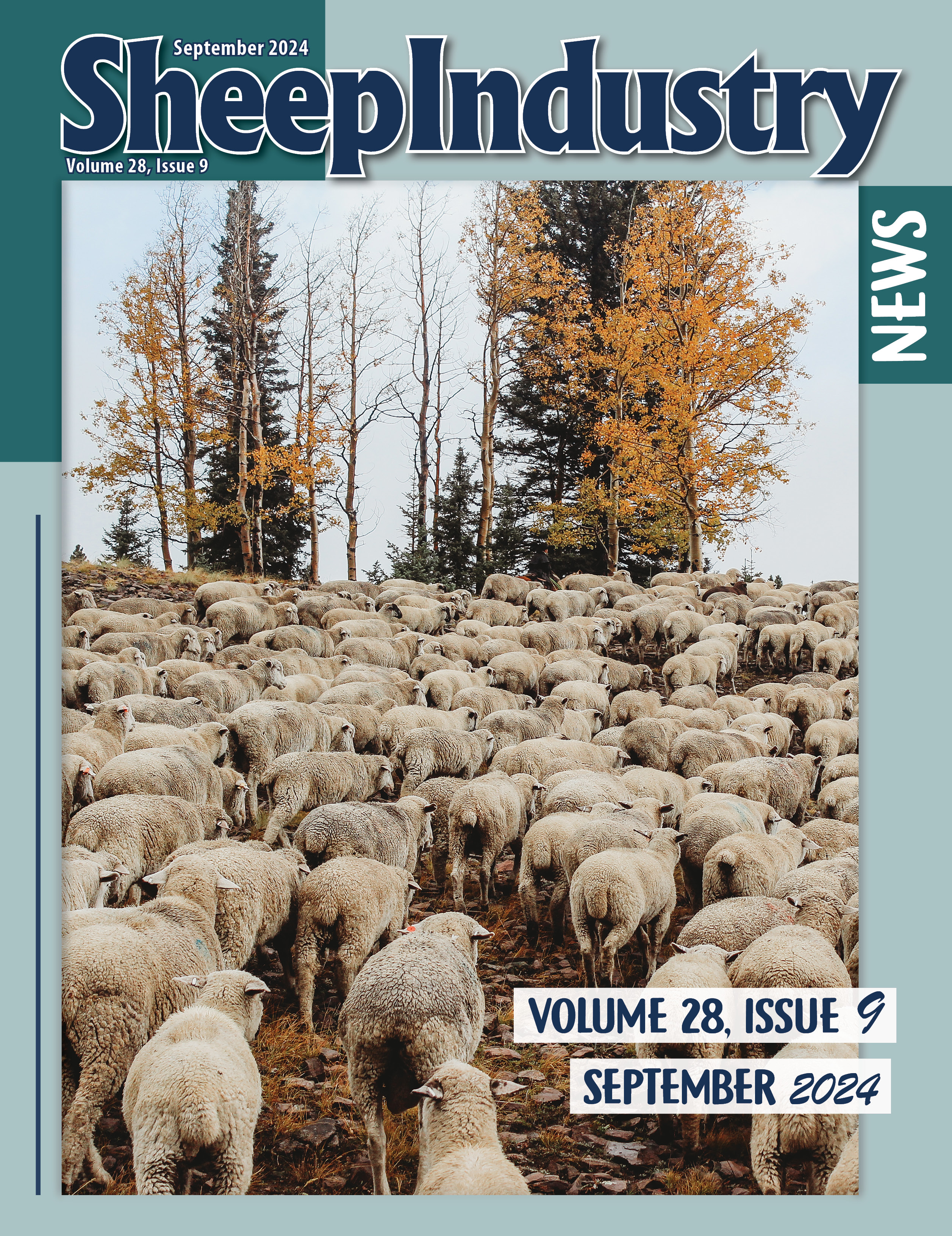 Sheep Industry News September 2024