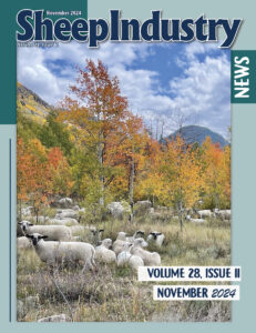 Sheep Industry News November 2024