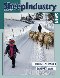 Sheep Industry News January 2025